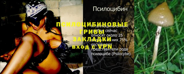 амф Ступино